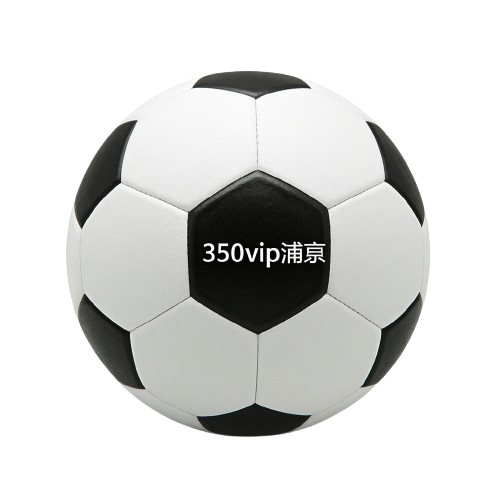 350vip浦京集团中国